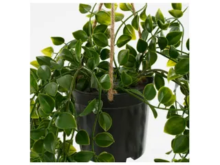 Kunstplant Mica Ficus hangend in pot groen 20x46cm - 4