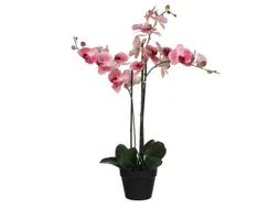 Kunstplant Mica Phalaenopsis orchidee roze in plastic pot 79x51cm