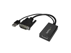 Dvi Naar Displayport Adapter Met Usb Power - 1920 X 1200