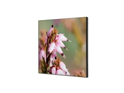 Wanddecoratie Textiel Set 40x40cm Roze Bloem Erica