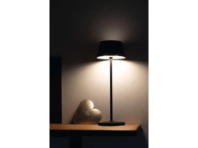 Lampe de table LED à pile MAULnina réglable anthracite