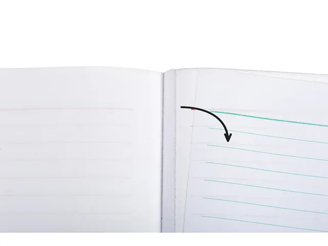 Facturenboek Exacompta Manifold dupli 50vel Nl