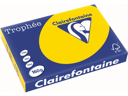 Trophée Pastel gekleurd papier A3 160 gram 250vel Goudgeel