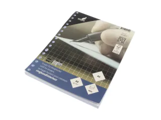 Ringbandinterieur Kangaro A5 ruit 10mm 17-gaats 60 grams 100 blad - 3