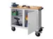 Établi Mobile Charge Maxi. 400Kg Tôle D'acier Ral7035 Façade Ral703