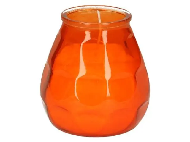 Bolsius Professional Twilight Oranje Horeca kaars 12 stuks