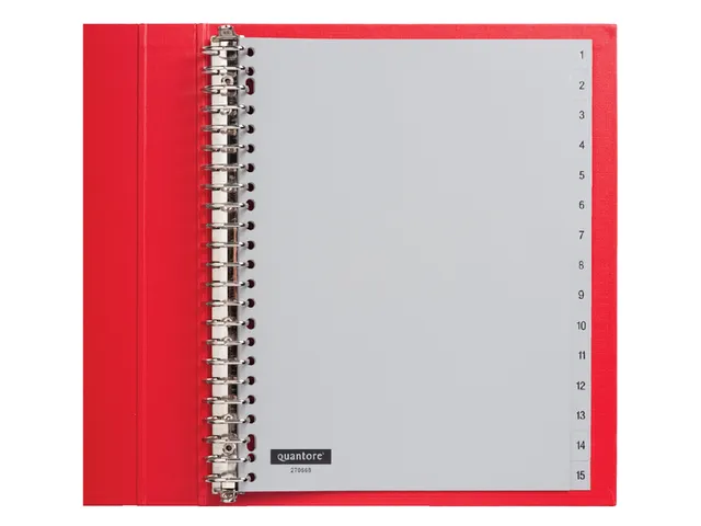 Tabbladen Quantore A4 23-gaats 1-15 genummerd grijs PP