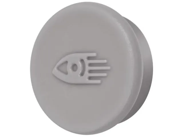 Magneten 10 Stuks 20Mm Taupe