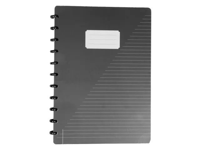 Schrift Kangaro A4 lijn 144pag 90g assorti 3 kleuren