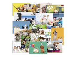 Beloningsposter-kaart De Stulp thema dieren A4 assorti