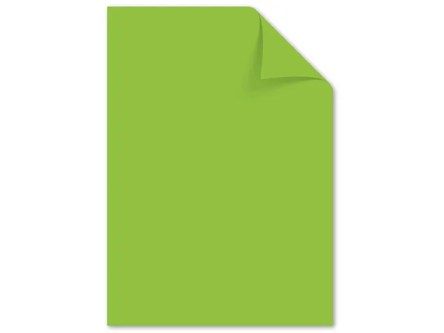 papier Kangaro A4 120 gram pak a 100 vel (10x10) assorti