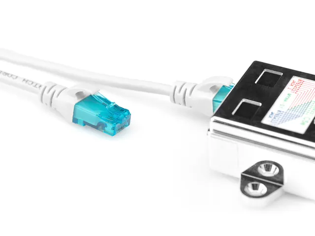 Digitus Cat 5E Patch Cable