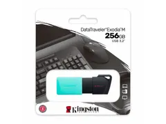 Kingston Technology DataTraveler Exodia M USB Stick 256GB
