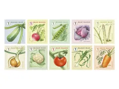 Postzegel Belgie Waarde 1 zelfklevend non-prior 5x10 stuks