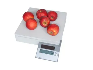 Pakketweger MAULparcel S solar 50kg - 6