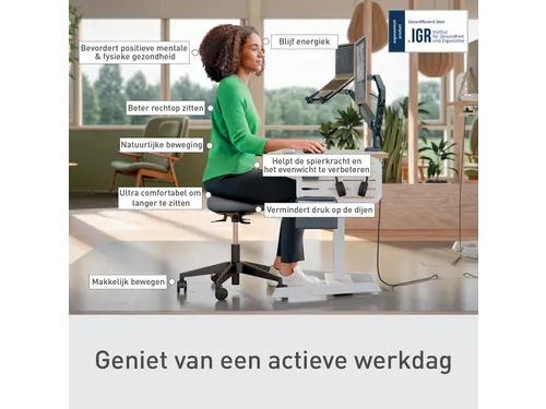 Zitkruk Leitz Ergo met wieltjes en wiebelkussen 600x470x600mm zwart