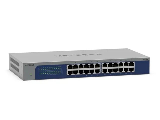 Gs524 V3 Gigabit Switch Standalone 24xRJ45 grijs blauw unmanaged