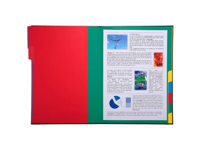 Trieur rigide Ordonator dos extensible 12 compartiments - Couleurs ass