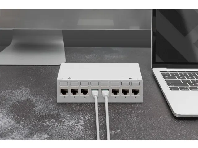 CAT 6A Keystone Module afgeschermd gereedschapsloze aansluiting 8st