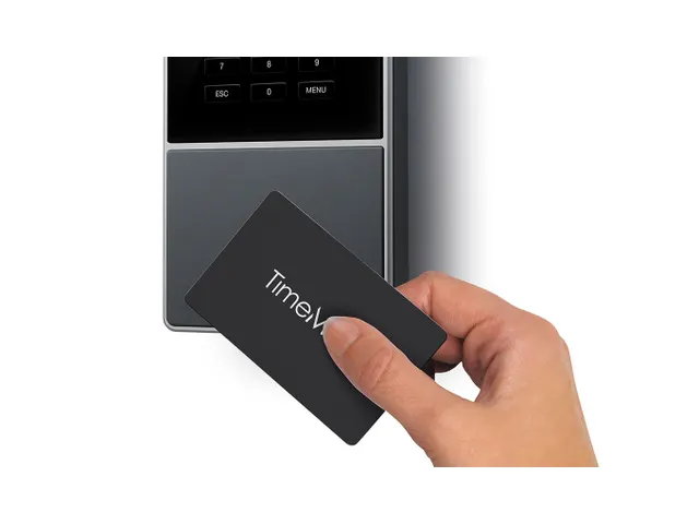 Tijdregistratiesysteem TimeMoto TM-616 Tijdklok