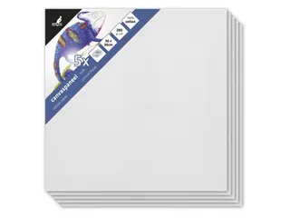 Canvaspaneel 30X30 Cm Set 5 stuks - 1