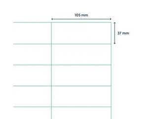 Verwijderbare Etiketten 105x37mm Doos a 1000 Vel 42017 - 3