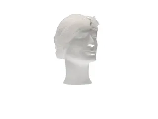 Haarnet Pp Non Woven Clip Cap Wit 53cm maat L 2-elastiek Detectable 10 - 4
