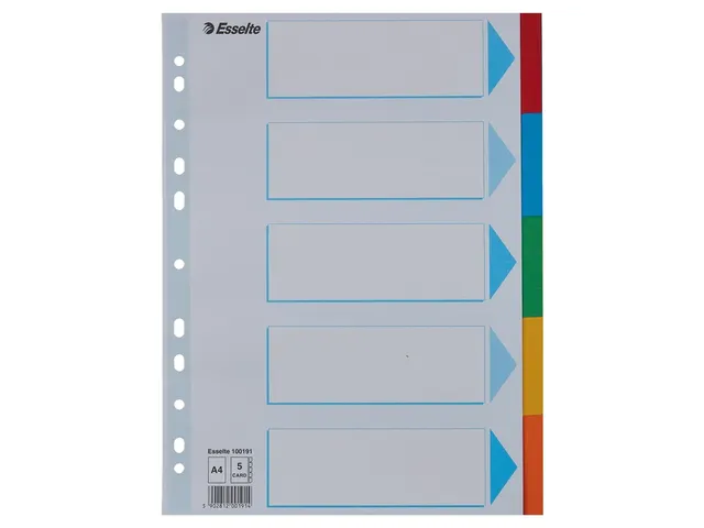 Tabbladen Esselte A4 11-Gaats Karton 5-Delig Met Voorblad Assorti