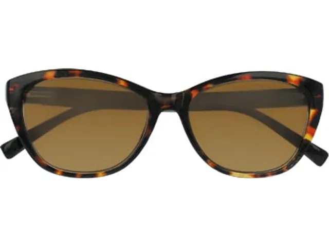 Zonnebril Sol Tom Brown bruin