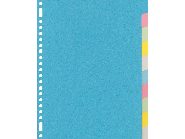 Tabbladen Kangaro A4 23-gaats RY410M 10-delig assorti karton