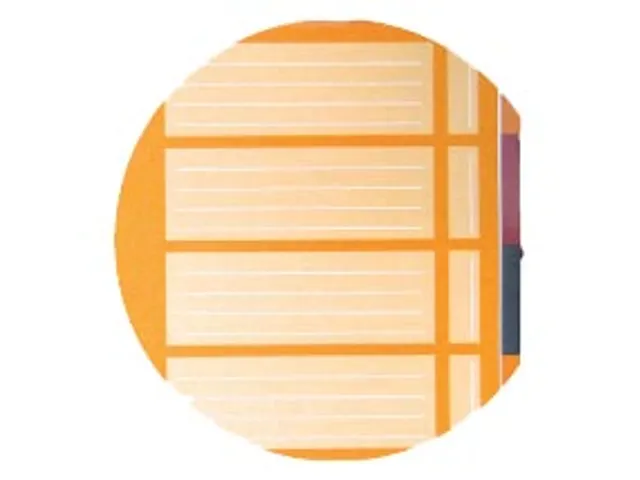 INTERNATIONAL Organiserbook, 160 bladzijden, ft A4+, geruit 5mm