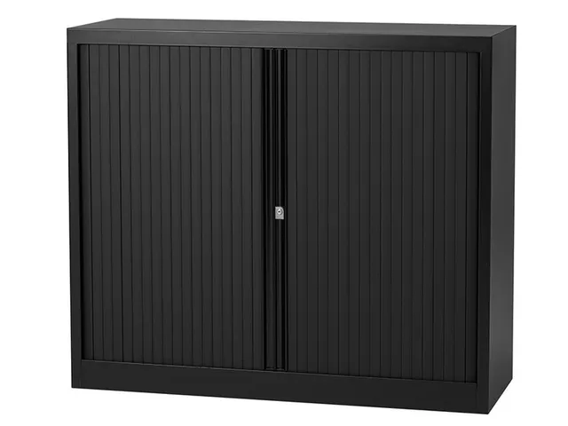 Roldeurkast Inclusief 2 Legborden Zwart 103x100x43