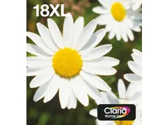 Multipack 4-colours 18XL EasyMail