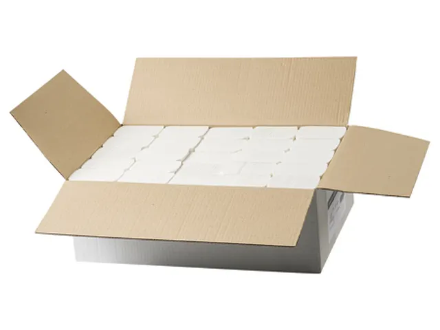 Papieren Handdoek Multifold cellulose 2-laags Wit FSC