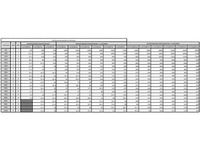 Easy UPS 3S E3SUPS20KHB Noodstroomvoeding - 20kVA 3fase(400V) in&uit i