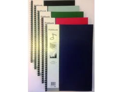 Plakboek Papyrus 330x230mm 40 vel assorti