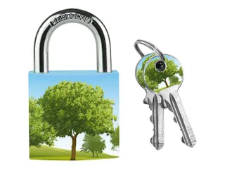 Hangslot Masterlock 30mm met 2 sleutels Assorti motief - 4