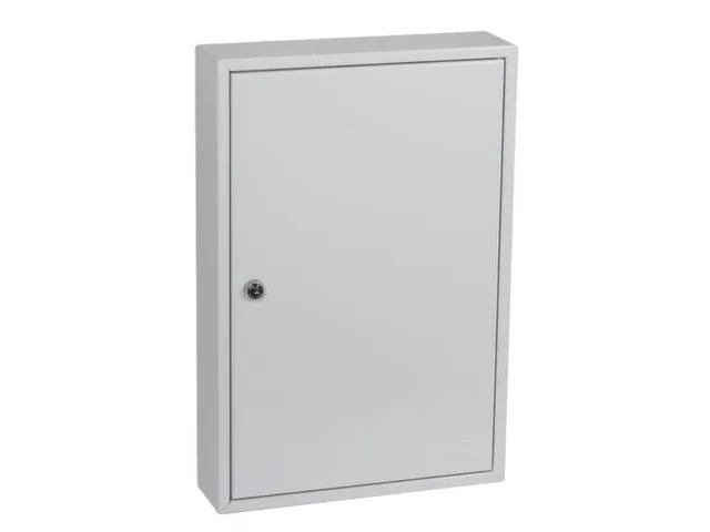 sleutelkast,64haak,HxBxD 450x300x80mm,romp grijs,front grijs