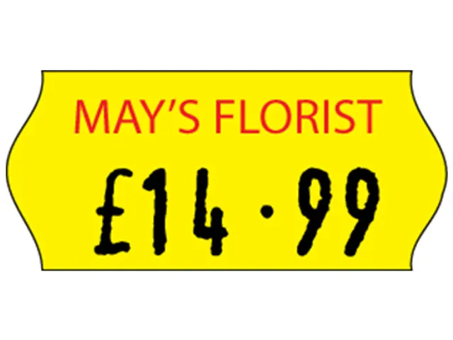 Etiketteertang Samark 26 + 12000 Etiketten Non Permanent 1 Regel