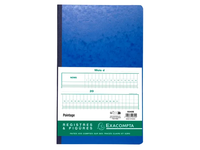 Piqûre 40x24cm - Pointage 46 lignes 80 pages - Couleurs assorties