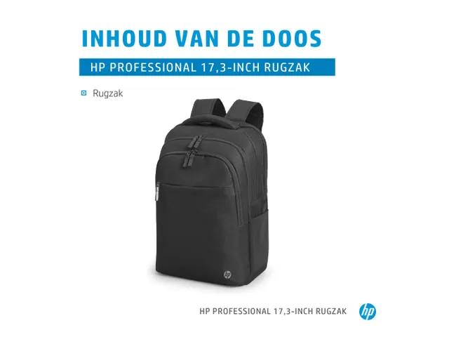 HP Professional 17.3 Inch Laptop Backpack Zwart