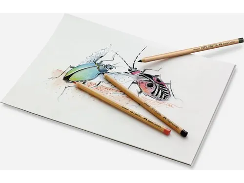 Kleurpotloden Faber-Castell Art&Graphic Compendium mahoniebox
