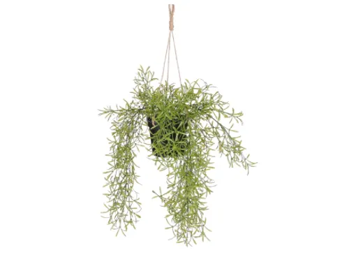 Kunstplant Mica Rhipsalis hangend in pot groen 40x20cm