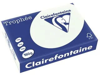 Trophée Pastel gekleurd papier A4 160 gram 250vel Lichtgroen - 2