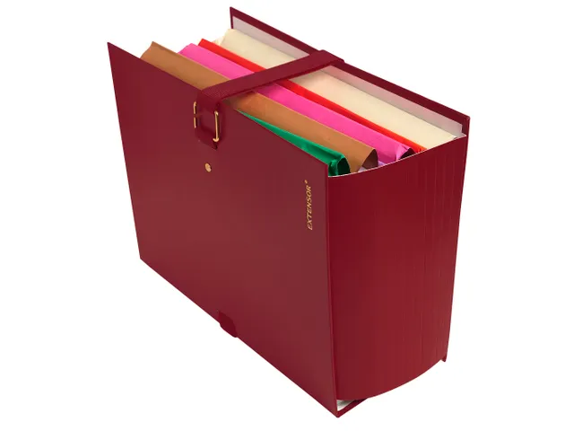 Map uitrekbare rug Extensor 24x32 cm Assorti