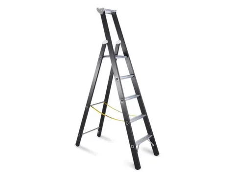 Zwaarlastladder Aluminium Boom L 2 15M 5Sporten Bordes H 1 33M
