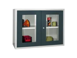 Hangkast 600x800x300mm Achterwand Glad Ral 7035 Front Ral 7016