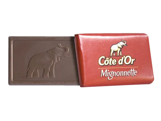 Chocolade Cote d'Or mignonnette melk 120x10 gram