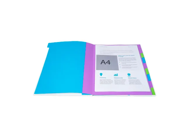 Sorteermap Harmonika 9vak CAMP.NEON Ass