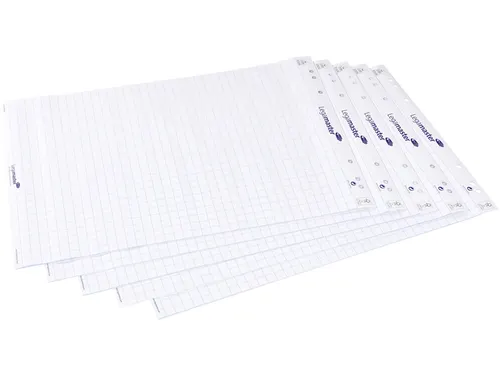 Flipoverpapier Legamaster ruit 20vel